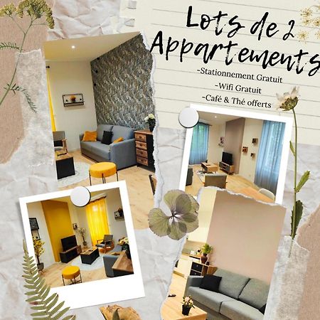 Appartements A Theme Clermont-Ferrand Exteriér fotografie